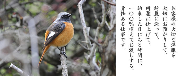 企業理念