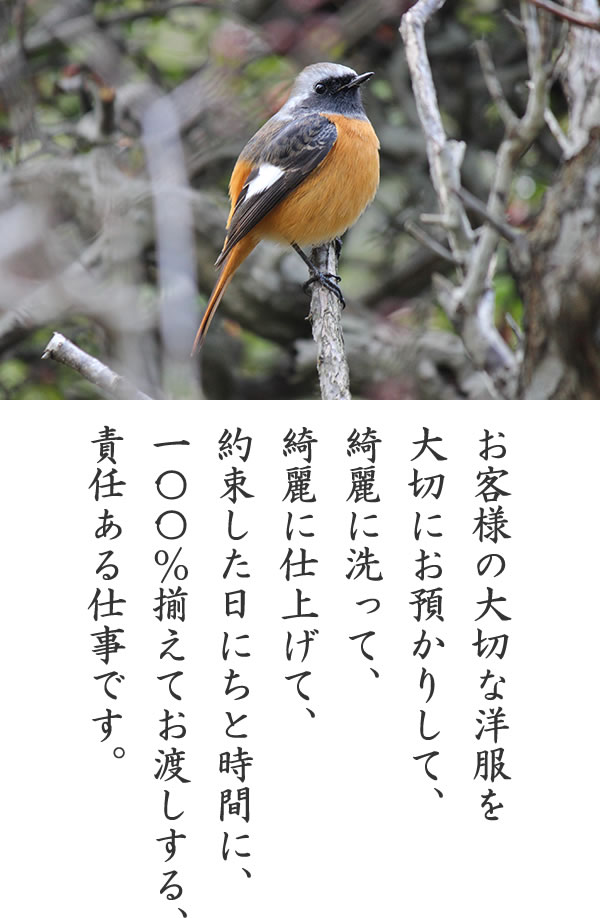 企業理念